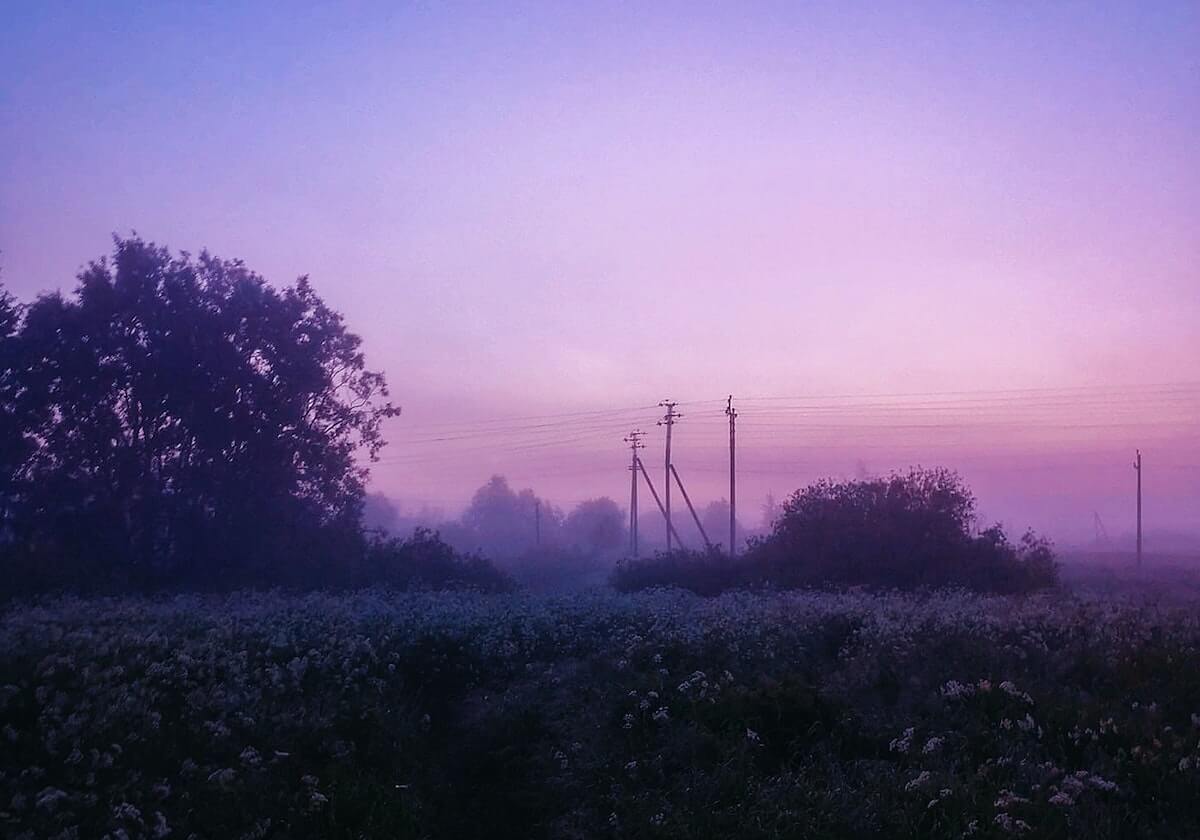 开云娱乐-泰山主场45069人见证胜利 本轮观赛人数第一
